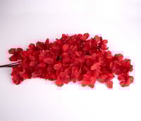 اغصان تنسيق صناعية