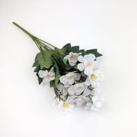 ورد بيبي ياسمين