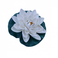 ورد مسابح فليين (وسط)