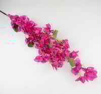 أغصان جهنمية مقاس كبير