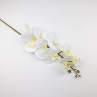 اوركيد صناعي