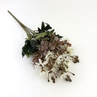 ورد بيبي ياسمين