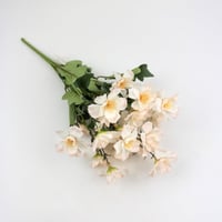 ورد بيبي ياسمين