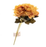 ورد بيبي هيدرنجا