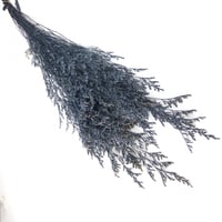 اغصان تنسيق طبيعية مجففة