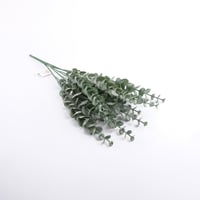 بانش كليبتوس صناعي