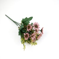 ورد تباع الشمس بيبي