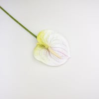 ورد انتوريوم صناعي