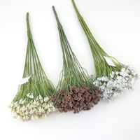 جبسوفيليا صناعي