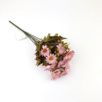 تباع الشمس بيبي