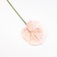 ورد انتوريوم صناعي