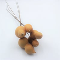 أغصان طبيعية مجففة