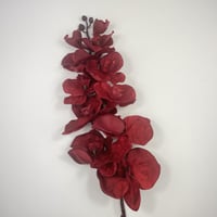 أوركيد قطيفة فاخرة بتصميم واقعي