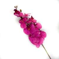 اوركيد صناعي