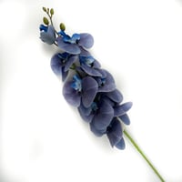 اوركيد صناعي