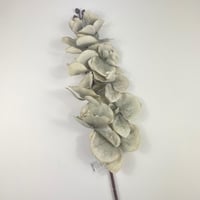 أوركيد قطيفة فاخرة بتصميم واقعي