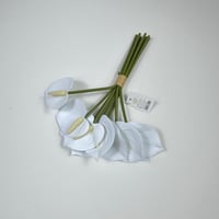 ورد انثريوم بيبي