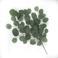 اغصان تنسيق صناعية يوكليبتوس