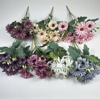 ورد بيبي جربيرا