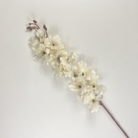 أوركيد صناعي ملون قطيفة أنيق