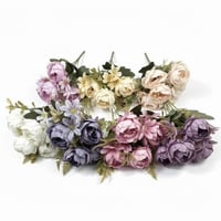 ورد بيبي بيوني