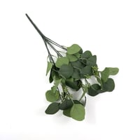 بانش يو كليبتوس صناعي