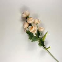 اغصان الفل قطيفة