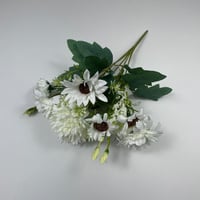 ورد بيبي جربيرا واقحوان