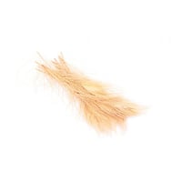 ريش طاووس لون ذهبي 30 سم