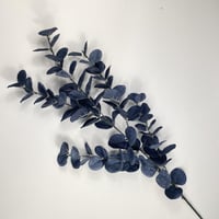 اغصان يوكليبتوس قطيفة ملون