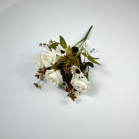 ورد بيبي روز