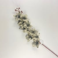 أوركيد صناعي ملون قطيفة أنيق