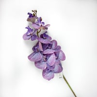 اوركيد صناعي