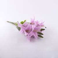 ورد كازابلانكا ( ليليوم ) صناعي