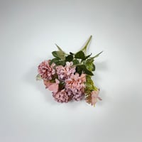 ورد بيبي كريز