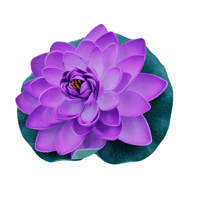 ورد مسابح فليين (وسط)