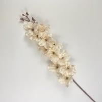 أوركيد صناعي ملون قطيفة أنيق