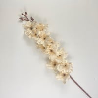 أوركيد صناعي ملون قطيفة أنيق