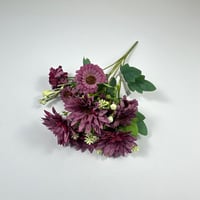 ورد بيبي جربيرا