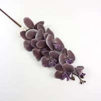 اوركيد صناعي