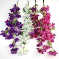 أغصان جهنمية مقاس كبير