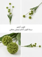 اخضر