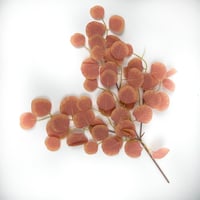 اغصان تنسيق صناعية يوكليبتوس