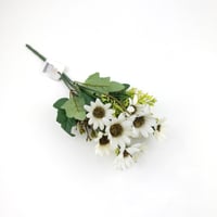 ورد تباع الشمس بيبي