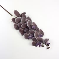 اوركيد صناعي