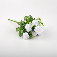 ورد بيبي روز7