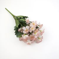 ورد بيبي ياسمين