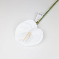 ورد انتوريوم صناعي