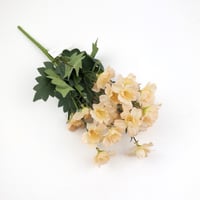 ورد بيبي ياسمين