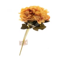 ورد بيبي هيدرنجا